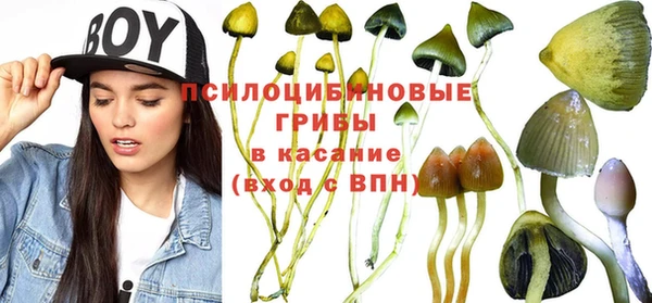 мескалин Аркадак