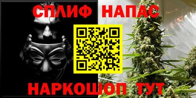 ПСИЛОЦИБИНОВЫЕ ГРИБЫ Камышлов