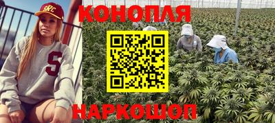 ECSTASY Канаш