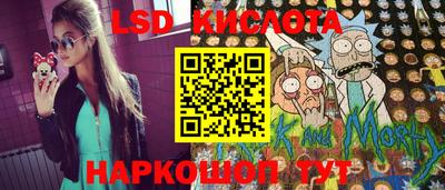 ПСИЛОЦИБИНОВЫЕ ГРИБЫ Камышлов