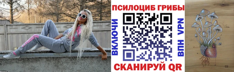 darknet телеграм  blacksprut зеркало  Нарткала  Галлюциногенные грибы Psilocybe 
