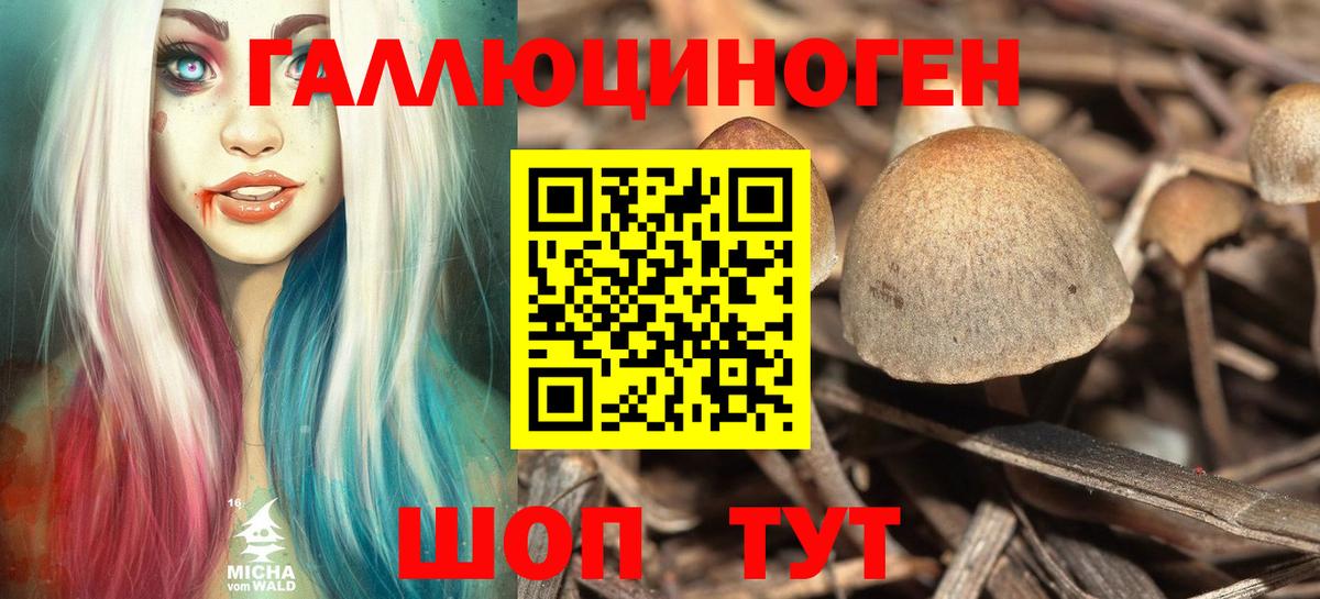 Галлюциногенные грибы GOLDEN TEACHER Нарткала