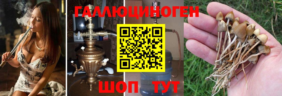 Лсд 25 Нарткала