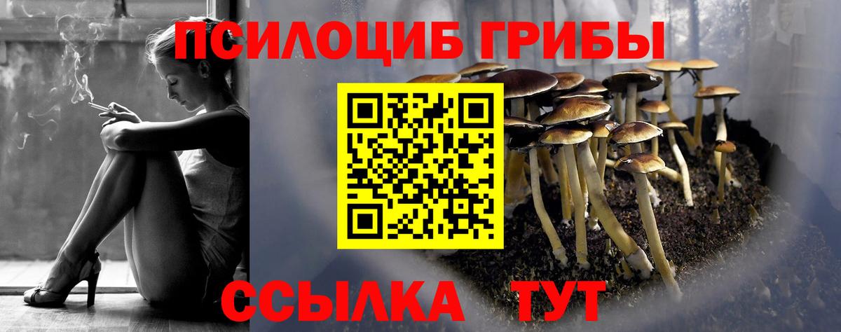 Галлюциногенные грибы Cubensis  Галлюциногенные грибы GOLDEN TEACHER  Вход с VPN  Нарткала 